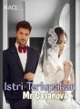 Istri Terlupakan Mr Casanova cover