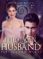 Hello Again, Husband! cover