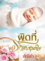 ผิดที่รักหมดใจ cover