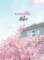 พรหมลิขิตสีดำ cover