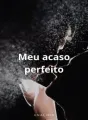 meu acaso perfeito cover