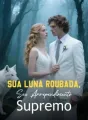 Sua Luna Roubada, Seu Arrependimento Supremo cover