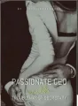 PASSIONATE CEO WITH TROUBLEMAKER SECRETARY cover